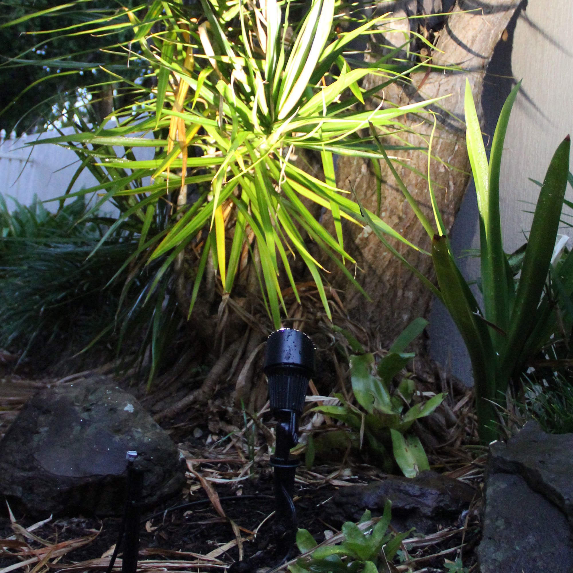 THAX SPIKE Black - Image 4