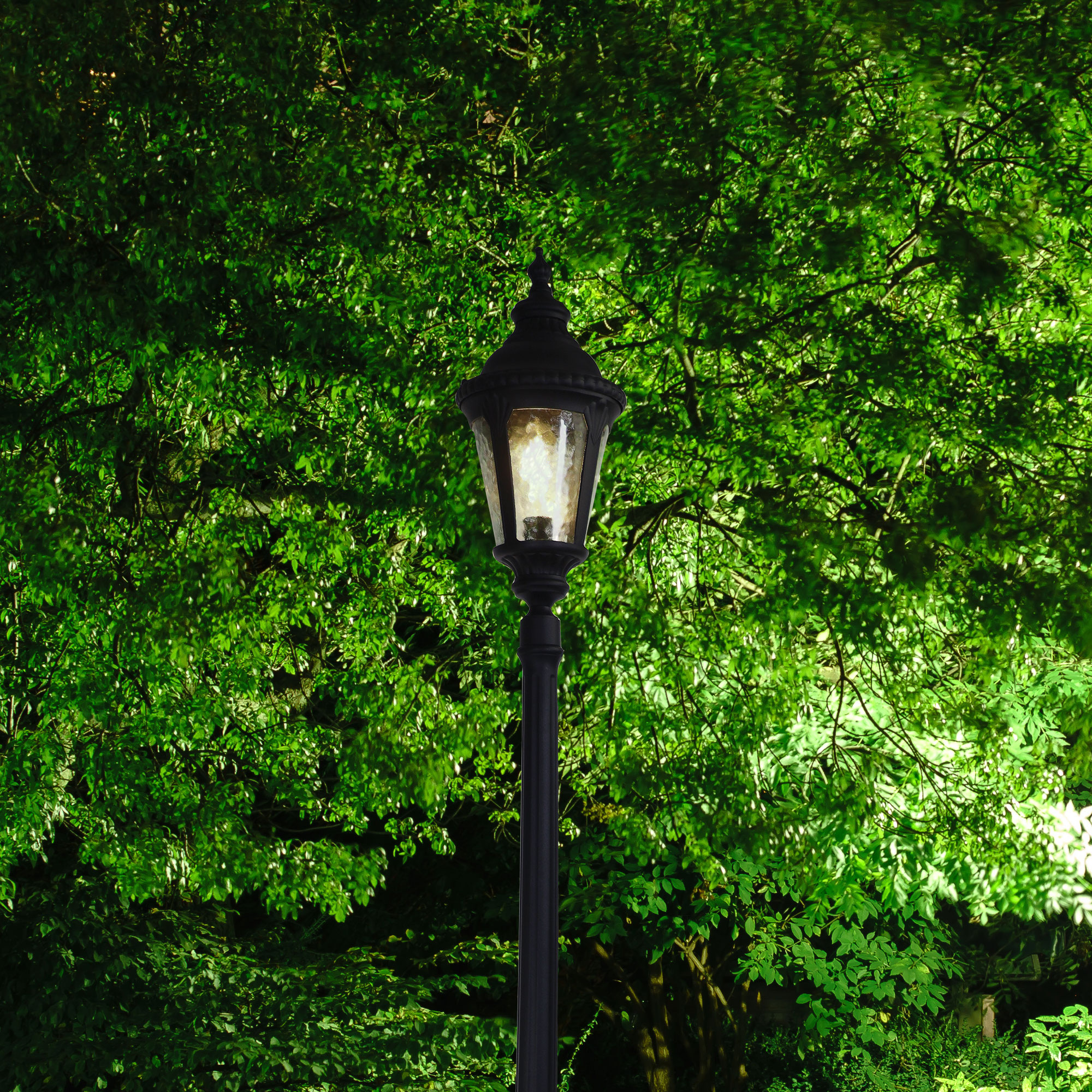 BRISTOL TOP and POST - Image 6