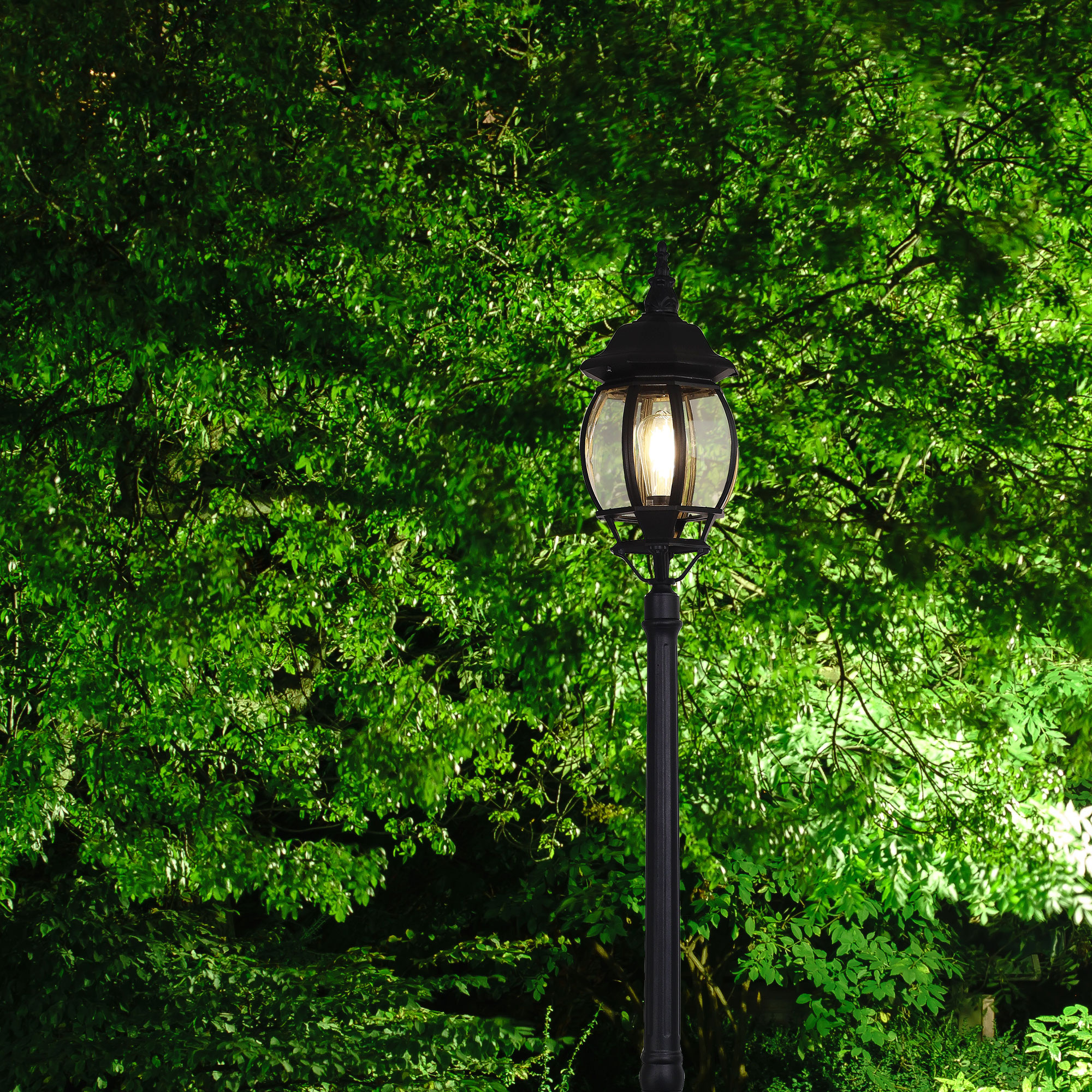 HIGHGATE TOP and POST - Image 6