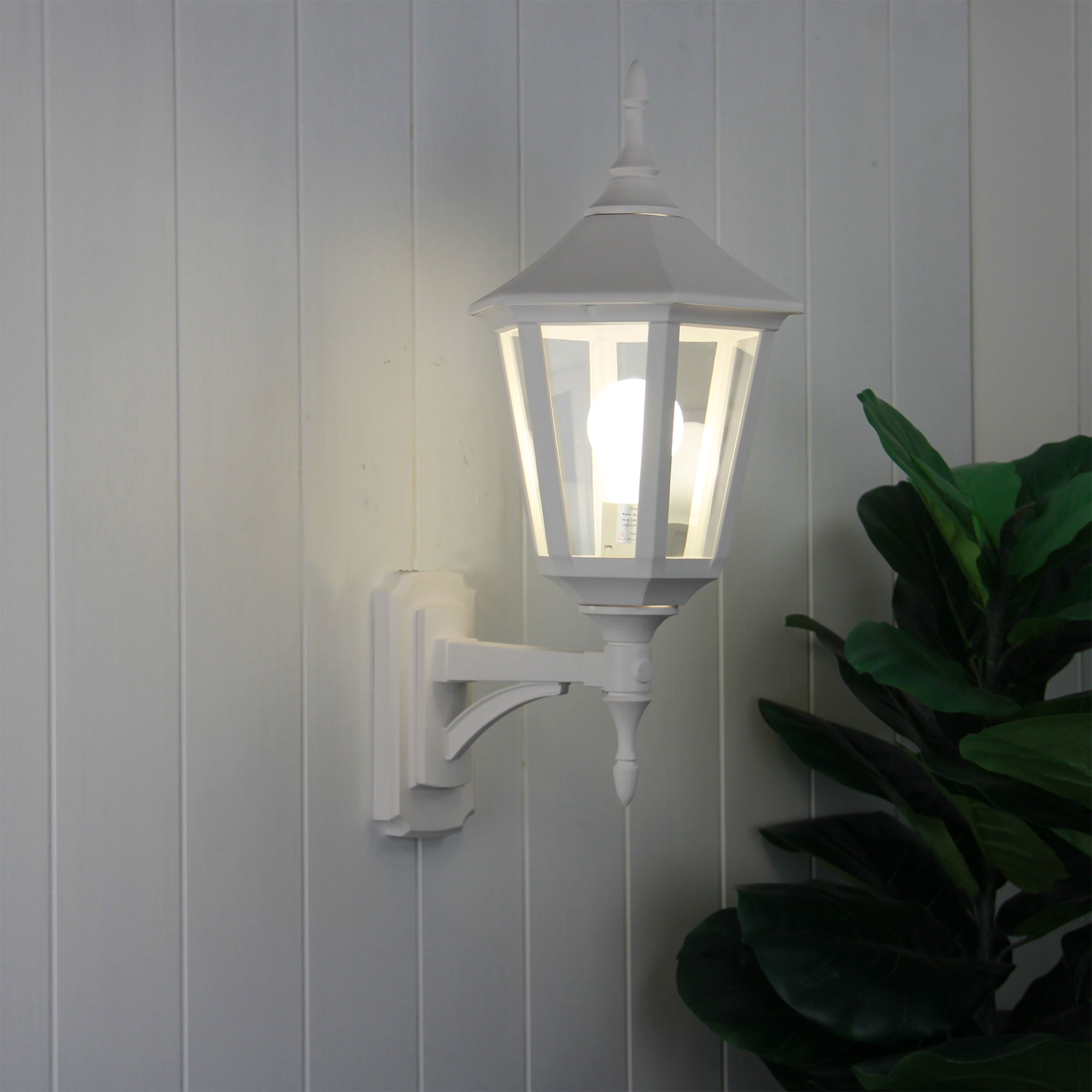 IBIZA White - Image 2