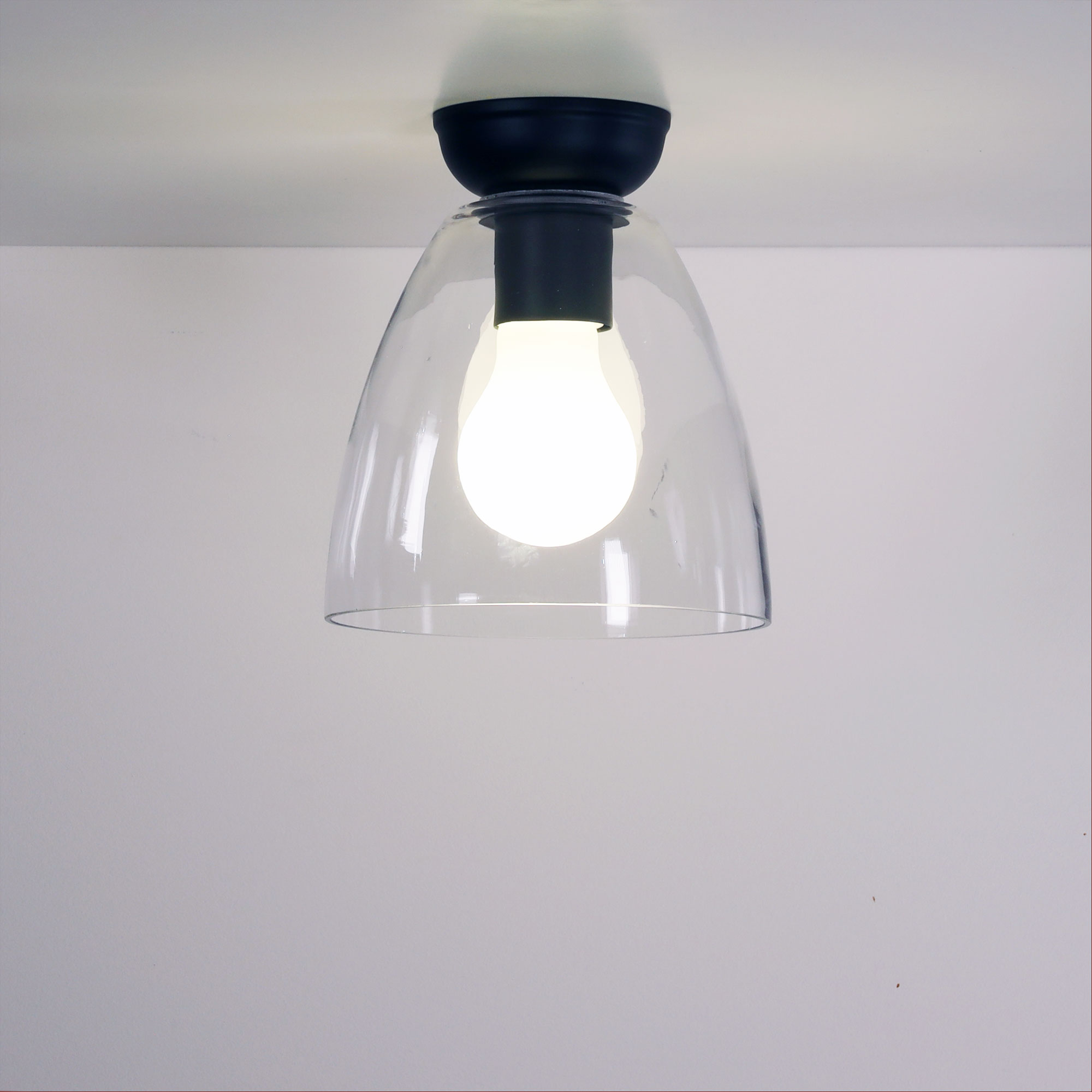 WARWICK DIY BLACK - Image 2