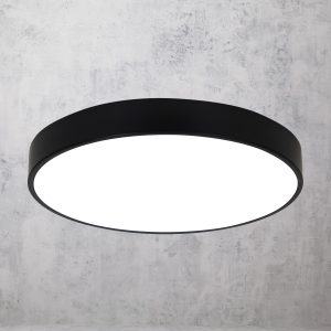 Flush Mounted Ceiling Lights