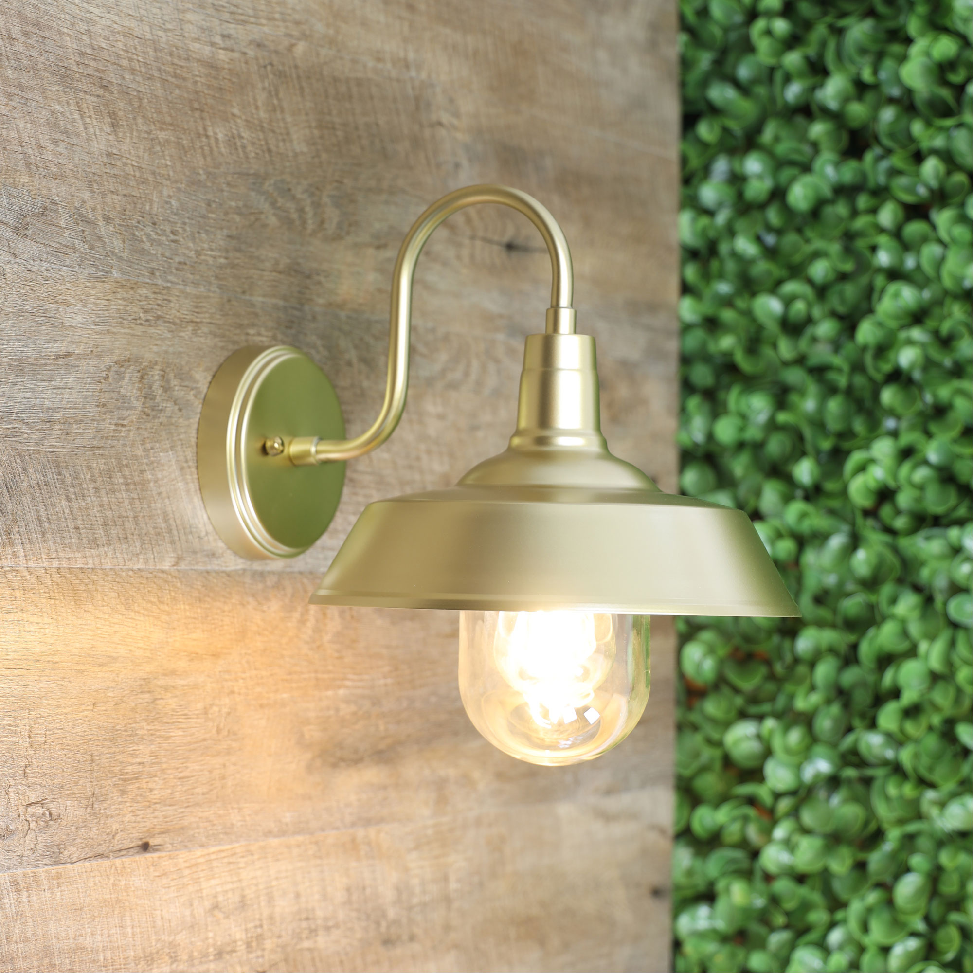 HUDSON GOLD - Image 3